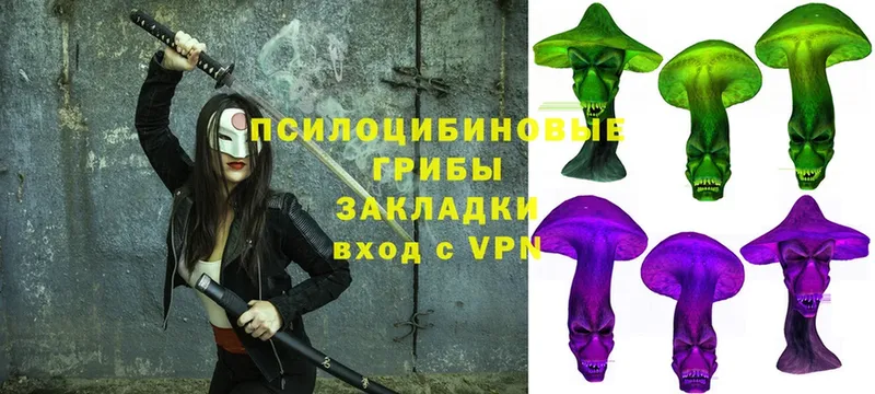 дарнет шоп  Берёзовский  Псилоцибиновые грибы Psilocybe 